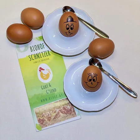 Gasthuis Isabella Bad Kleinkirchheim